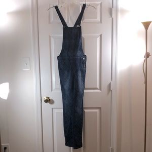 Hollis Denim jumpsuit